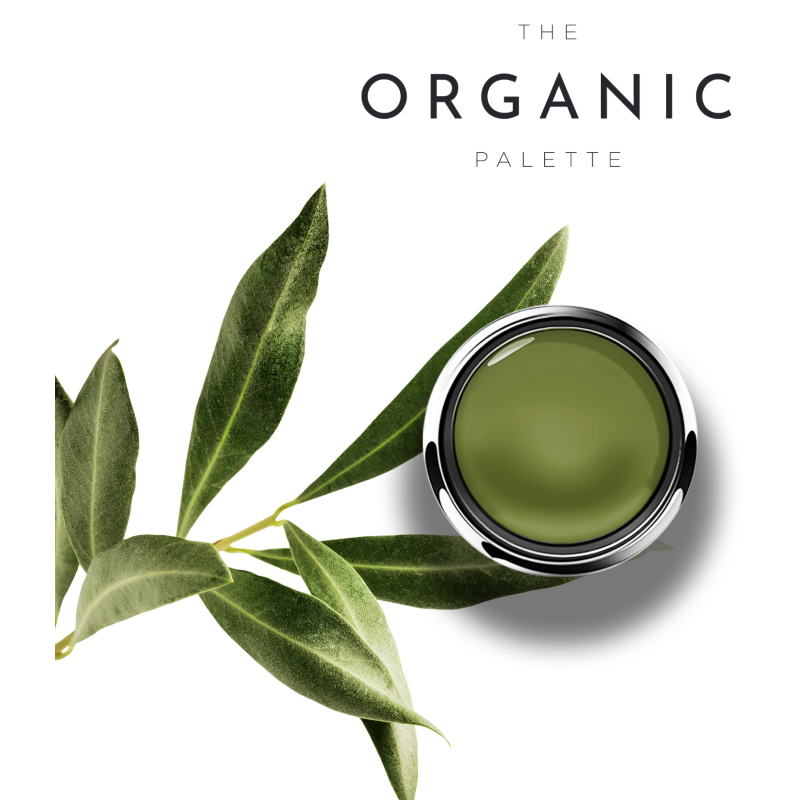 Gel Play™ Paint Olive - Accent Expression