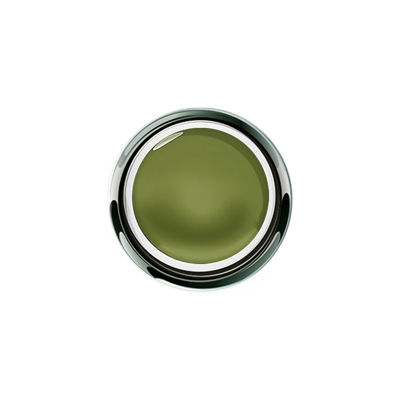 Gel Play™ Paint Olive - Accent Expression