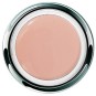 Pro-Formance™ Trinity Shades Warm SW1 - Accent Expression