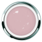 Akzentz Pro-Formance Balance Foundation Pink - Accent Expression