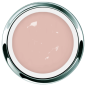 Akzentz Pro-Formance Balance Foundation Blush - Accent Expression