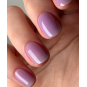 Luxio® Freesia - Accent Expression