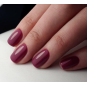 Luxio® Gypsy - Accent Expression