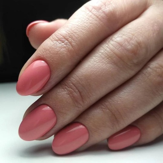 Luxio® Precocious - Accent Expression