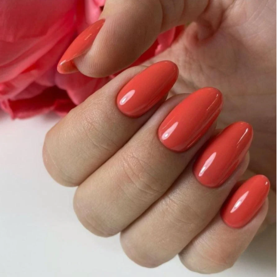 Luxio® Tease - Accent Expression