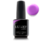 Luxio® Attraction - Accent Expression