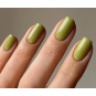 Luxio® Agave - Accent Expression