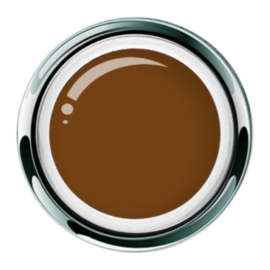 Gel Play™ Paint Raw Sienna - Accent Expression