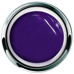 Gel Play™ Paint Purple - Accent Expression