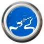 Gel Play™ Paint Blue - Accent Expression