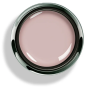 Options™ Teacup Rose - Accent Expression