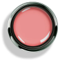 Options™ Coral Rose - Accent Expression