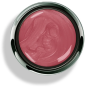 Options™ Desert Rose (Shimmer) - Accent Expression