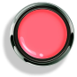 Options™ Hypnotic Coral (Bright) - Accent Expression