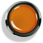 Options™ Maple Sugar - Accent Expression