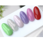 Luxio® A.I Eden Mini Collection - Accent Expression