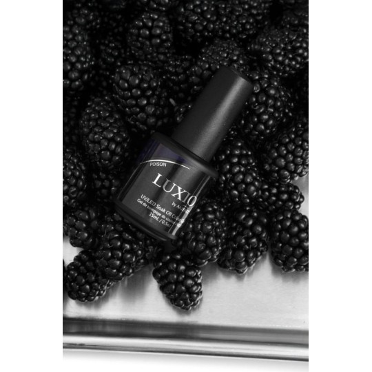 Luxio® Nocturne Collection Mini 3X5ml. (Studio 14) - Accent Expression