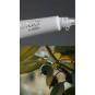 Luxio® Huile à Ongle & Cuticule - Accent Expression