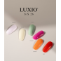 Luxio® Femininity Mini Collection - Accent Expression